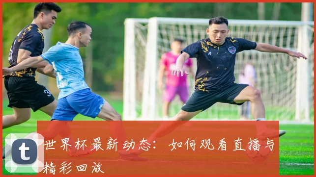 世界杯最新动态：如何观看直播与精彩回放