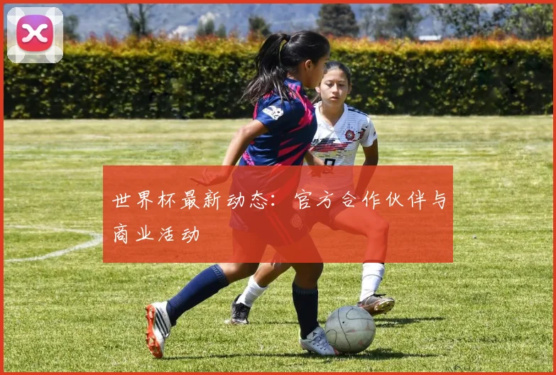 世界杯最新动态：官方合作伙伴与商业活动